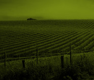 Agropozemky Dvůr Králové s.r.o.