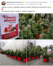 Zahradnictví Novák Hlučín s. r. o.