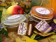 Mgr. Kateřina Tylšová