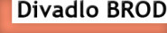 DIVADLO BROD, spolek