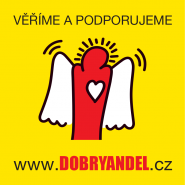 Ing. Vladimír Krigl