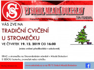 Tělocvičná jednota Sokol Mladá Boleslav