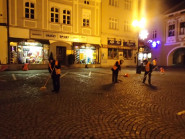 Technické služby města Valašské Meziříčí, příspěvková organizace