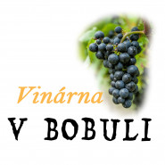 Michaela Kocourková