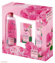 Ing. Renáta Špačková