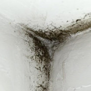 Termotech Praha s.r.o.