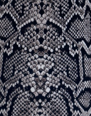 Miroslava Skleničková