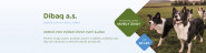 Dibaq a.s.