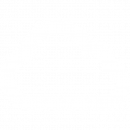 Telia Carrier Czech Republic a.s.