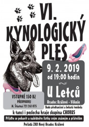 Český kynologický svaz ZKO Nový Hradec Králové - 083