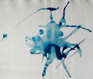 Waldorfská základní škola a mateřská škola Brno, Plovdivská 8, příspěvková organizace