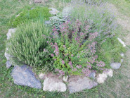 Mateřská škola Brno, Slavíčkova 1, příspěvková organizace