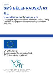 Soukromá mateřská škola, obecně prospěšná společnost