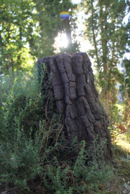 Mateřská škola Řevnice, příspěvková organizace