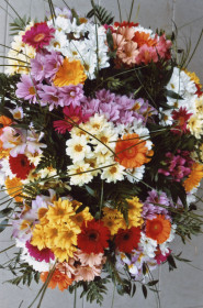 Zdeňka Kvasničková