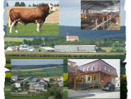 Zemědělské a obchodní družstvo Čáslavice, družstvo