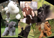 Petra Ulrichová Plisková