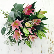 Černý Tulipán, s.r.o.