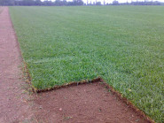 Zahradnictví flos, s.r.o.