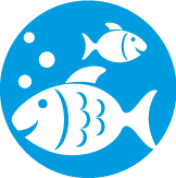 Ing. Miroslav Orlík