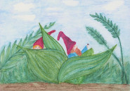 PEDIATRIE Neumannová s.r.o.