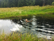 Mgr. Stanislav Turek