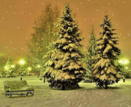 Městský bytový podnik v Kralupech nad Vltavou