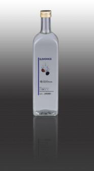 Remetions Partner s.r.o.