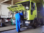 Václava Švestková