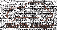Martin Langer