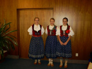 TJ Sokol Vizovice, z. s.