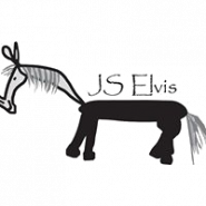 Jezdecká stáj Elvis, z.s.