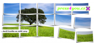 press4you s.r.o.