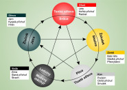 ORDINACE FBLR s.r.o.