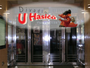 DIVADELNÍ SDRUŽENÍ BSP