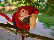 Základní článek Asociace Brontosaura-QUITO