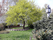 Vratimovské služby spol. s r.o.