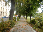 Bc. Antonín Přibyl