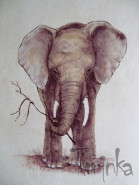 Ing. Iva Roháčová