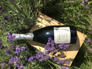 WineWorld Czech s.r.o.