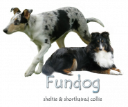 Andrea Procházková