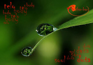 Ing. Marián Béreš