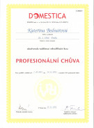 Kateřina Bednářová