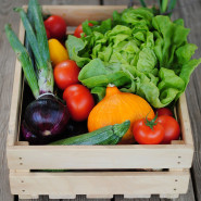 EKOFARMA Lukas, s.r.o.