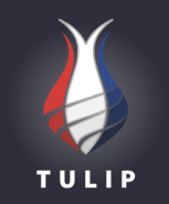 TULIP holding s.r.o.