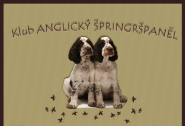 Klub Anglický špringršpaněl z.s.