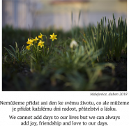 Nadační fond Klíček