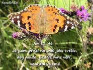 Sbor Církve adventistů sedmého dne Ostrava - Mariánské Hory