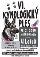 Český kynologický svaz ZKO Nový Hradec Králové - 083