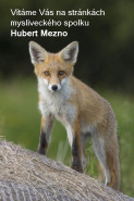 Myslivecký spolek ,,Hubert" Mezno